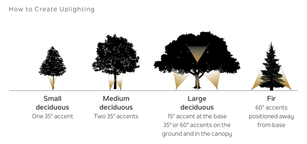 Landscape tree lighting Angle reference