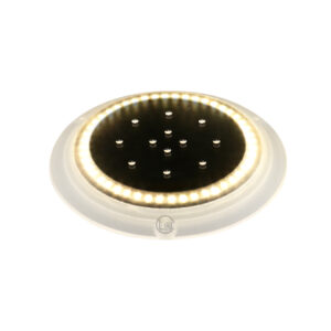 Ground Solar Step Lights