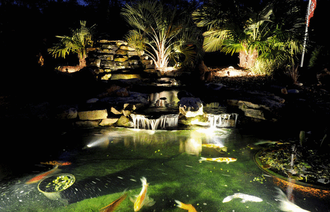Ponds lighting