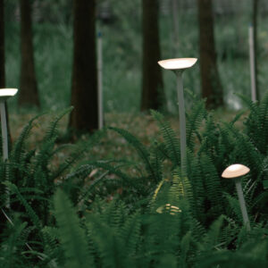 Mushroom Lawn Garden Light