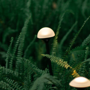Decorative Mushroom Lights