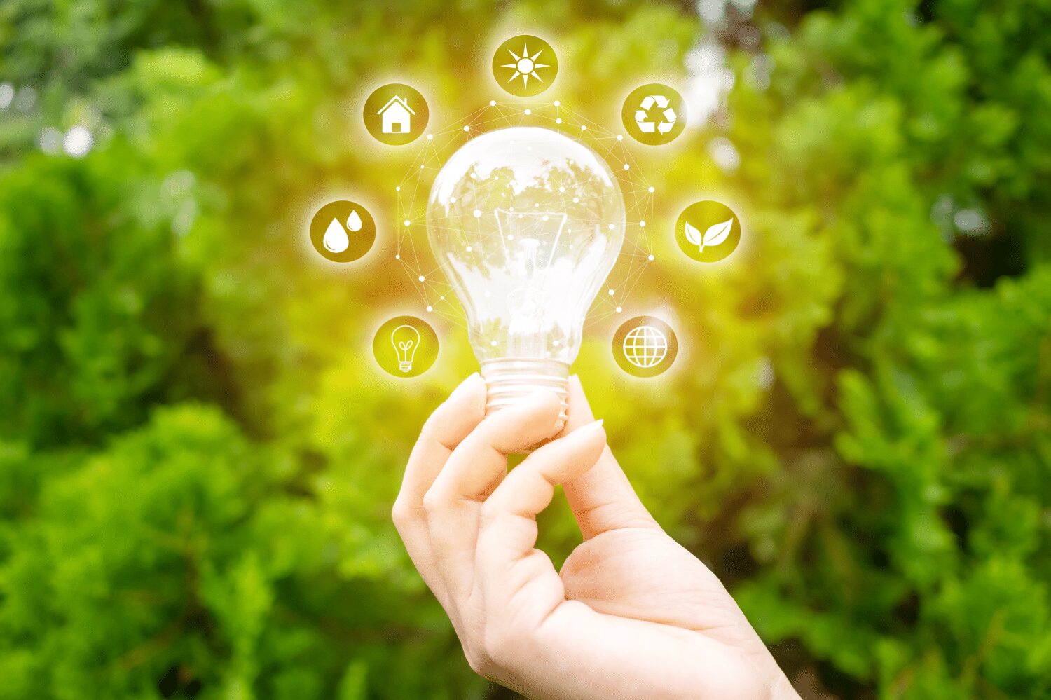 Lacelesty sustainable lighting