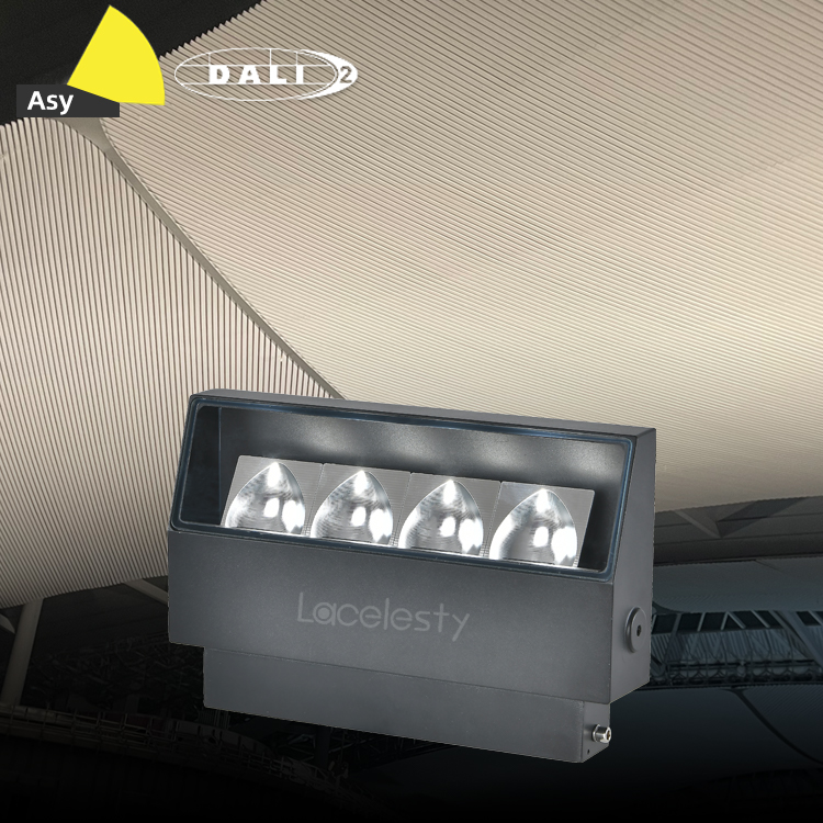 Asymmetrical Wall Mounted Luminaires