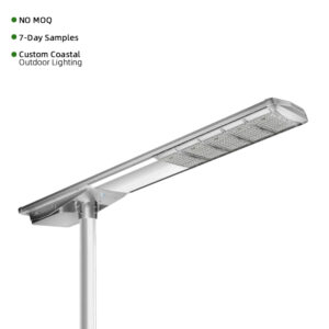 IP66 Solar LED Street Light