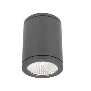 IP65 Surface Downlight