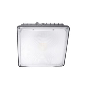 LED Canopy Light